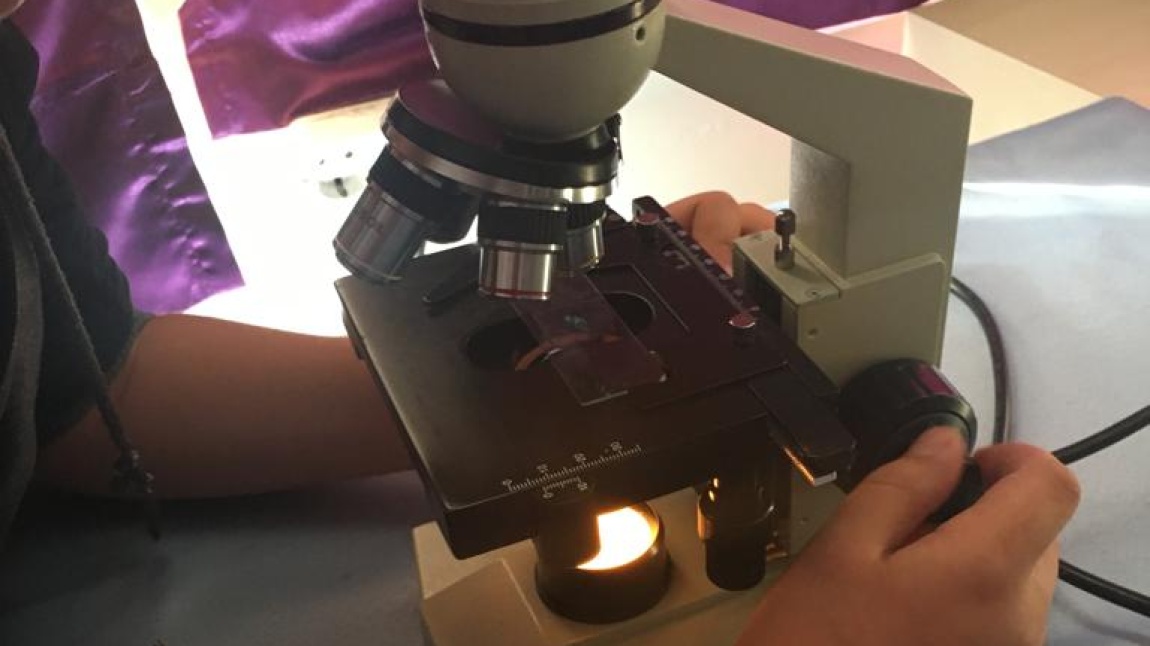Mikroskop Gözlemi